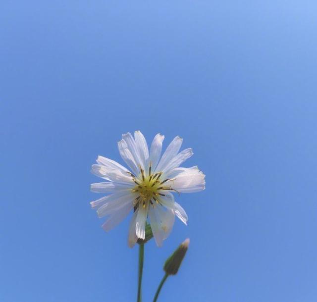 情商高比较暖心的说说，总有一句适合你！