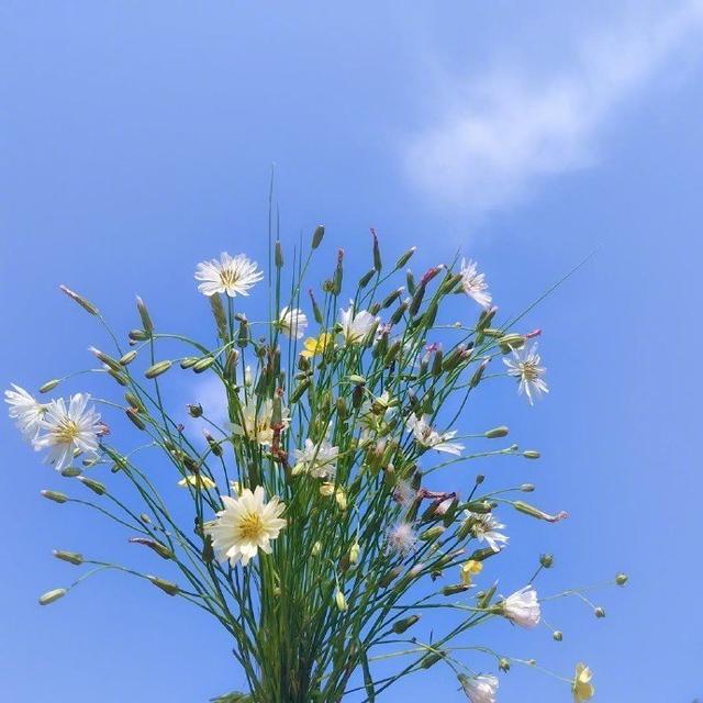 情商高比较暖心的说说，总有一句适合你！