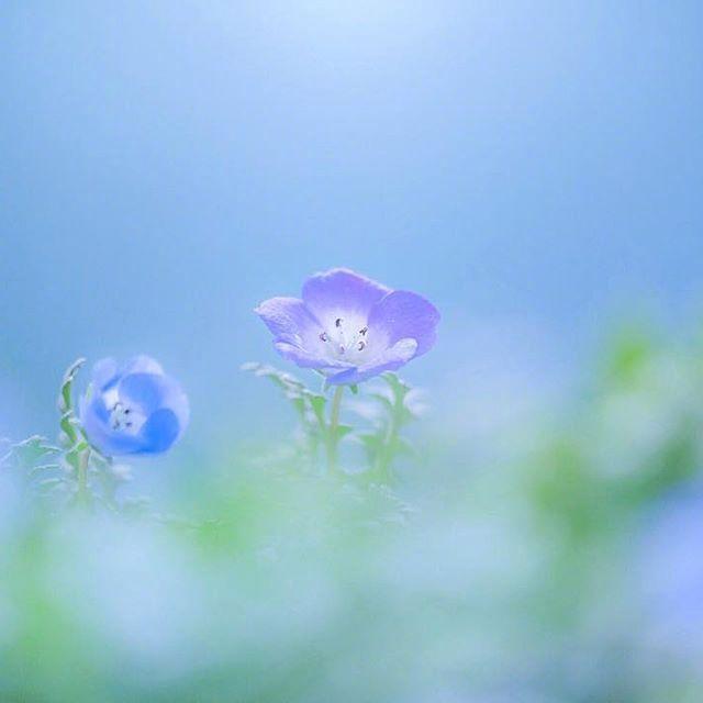 清晨发朋友圈吸引人的句子，你最喜欢哪句？