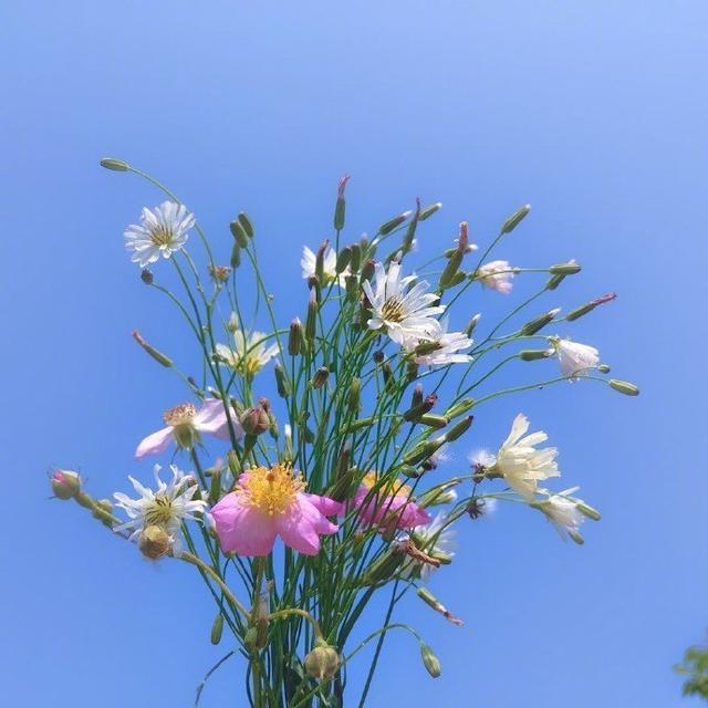 非常现实非常经典一句话,发朋友圈引人共鸣!