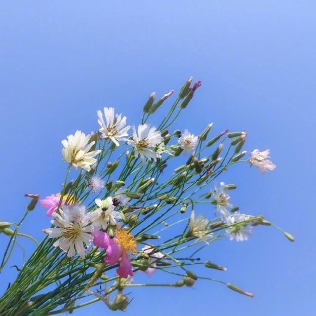 非常现实非常经典一句话，发朋友圈引人共鸣！