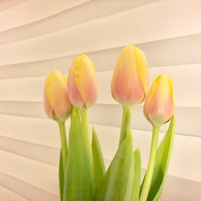 2021最美早安心语，句句经典，让人一见倾心！