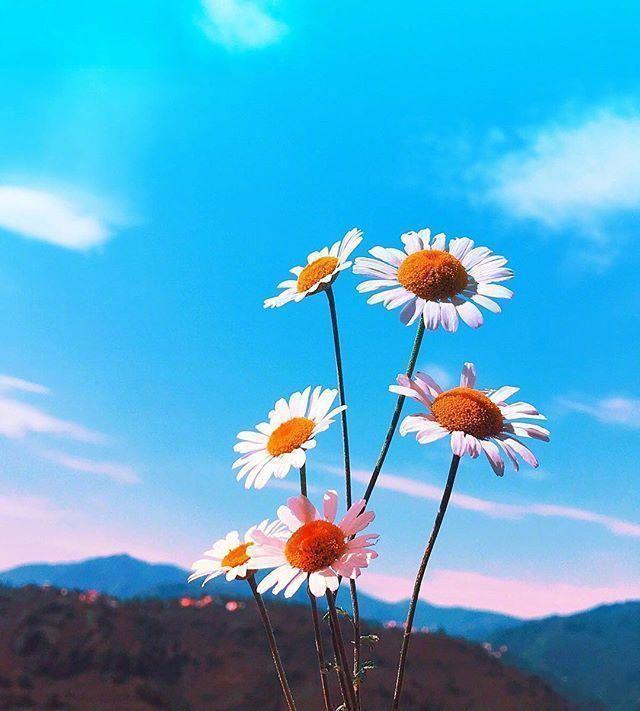 心态好格局大的心灵鸡汤，经典至极，大彻大悟！