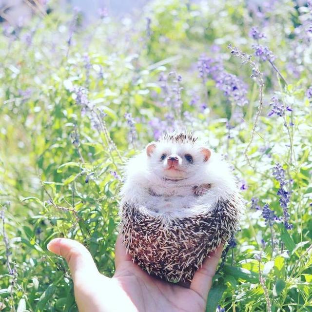 第一眼就心动的心情说说，很潮很流行！