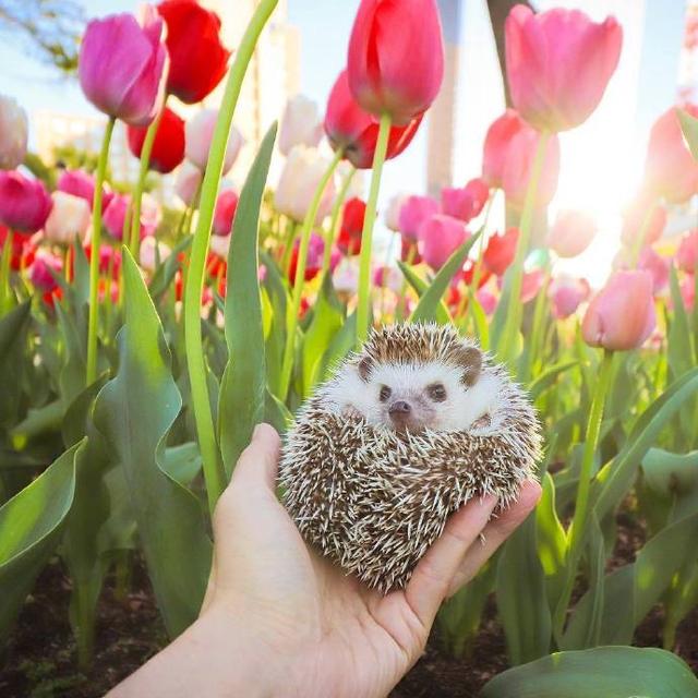 第一眼就心动的心情说说，很潮很流行！