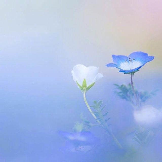 2021年最火的早安语录，发朋友圈人人点赞！