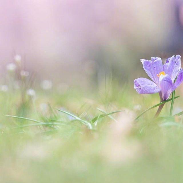 2021年最火的早安语录，发朋友圈人人点赞！