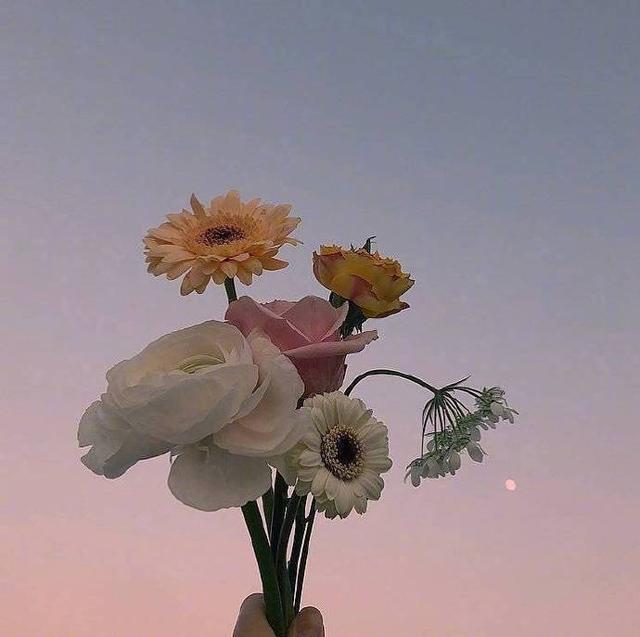 忍不住收藏的早安心语，积极阳光，元气满满！