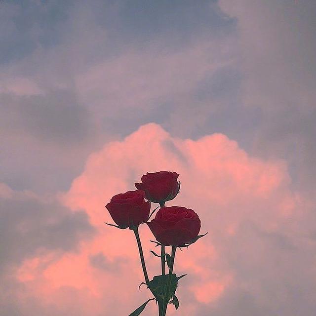 忍不住收藏的早安心语，积极阳光，元气满满！