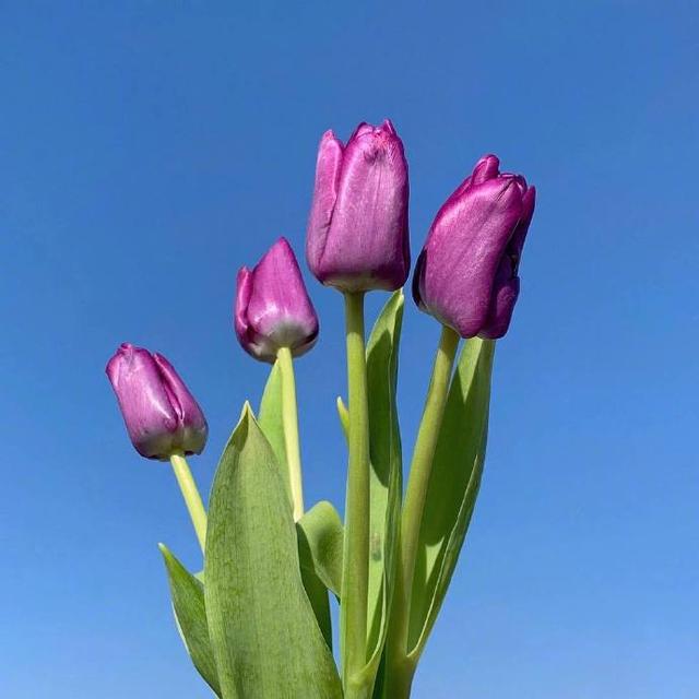 放宽心态看淡一切的文案，适合睡前思考！