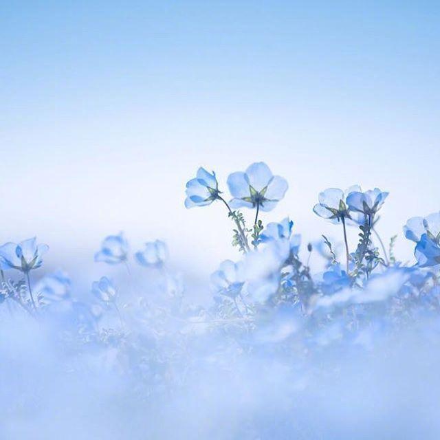 早安短句配图，温暖美好，你最喜欢哪句？