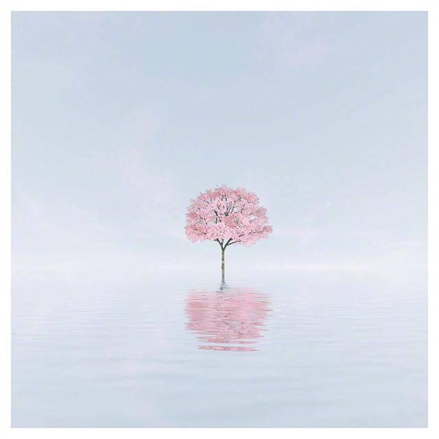 最现实的人生感悟，句句箴言，值得收藏一生！