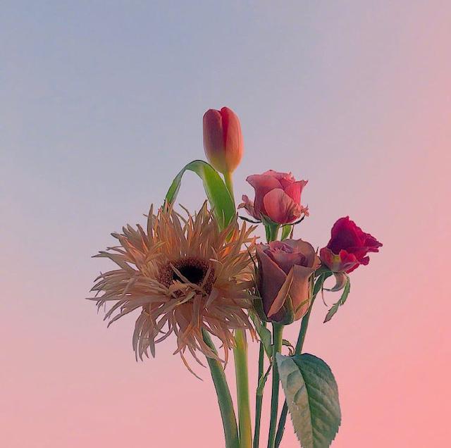 阳光正能量的励志语录，适合发朋友圈！