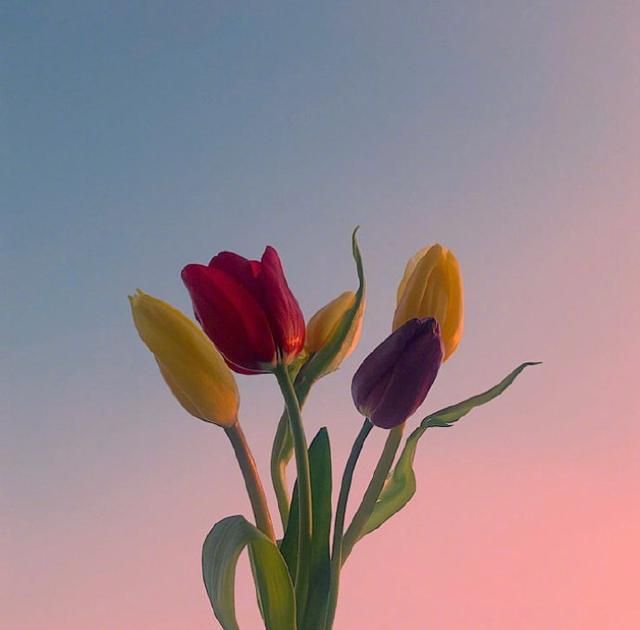 阳光正能量的励志语录，适合发朋友圈！