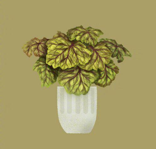 洒脱的人生态度文案，每日一读，豁达一生！