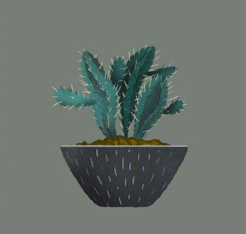 洒脱的人生态度文案，每日一读，豁达一生！