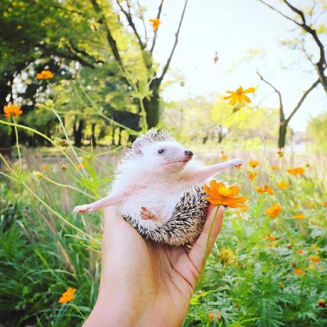 社会现实人情冷暖的句子，字字千金，富含哲理！