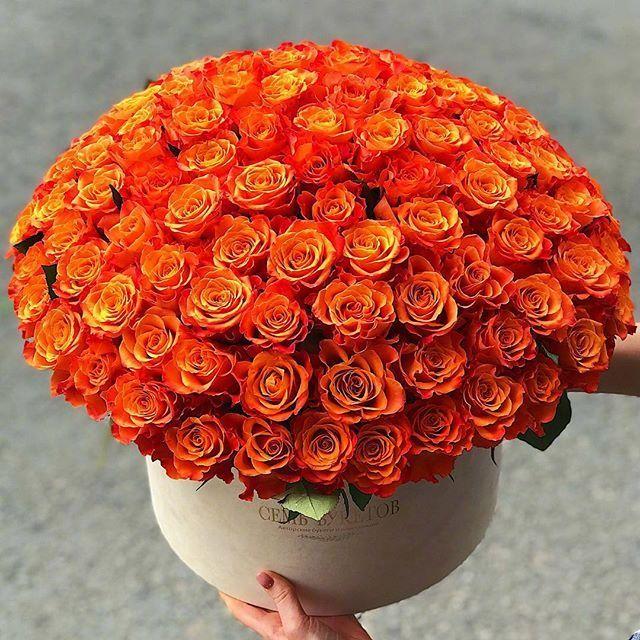 给女孩足够安全感的情话，适合发朋友圈！