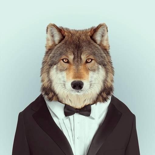 适合发朋友圈的人生箴言，句句经典，大彻大悟！