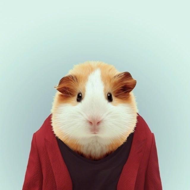 适合发朋友圈的人生箴言，句句经典，大彻大悟！