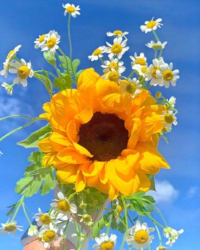 朋友圈最透彻的心灵鸡汤，充满哲理，引人深思！