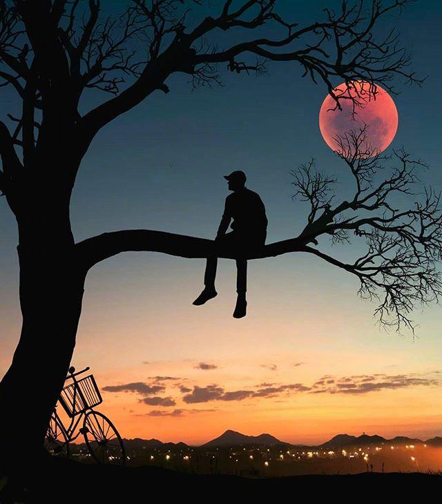 感悟人生的好句子摘抄，一字千金，醍醐灌顶！