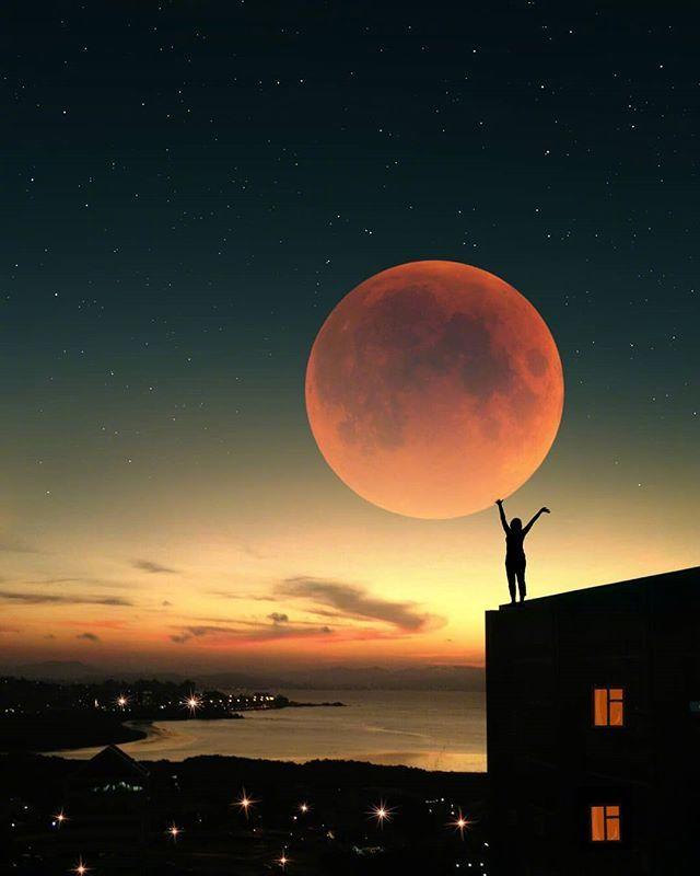 感悟人生的好句子摘抄，一字千金，醍醐灌顶！