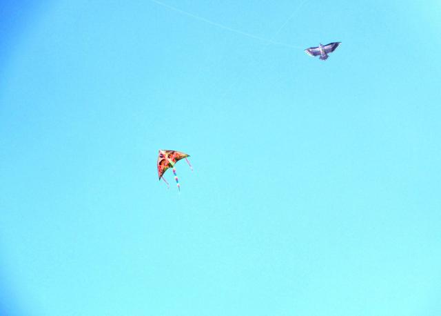 憋屈有苦难言的说说，看完心碎了一地！