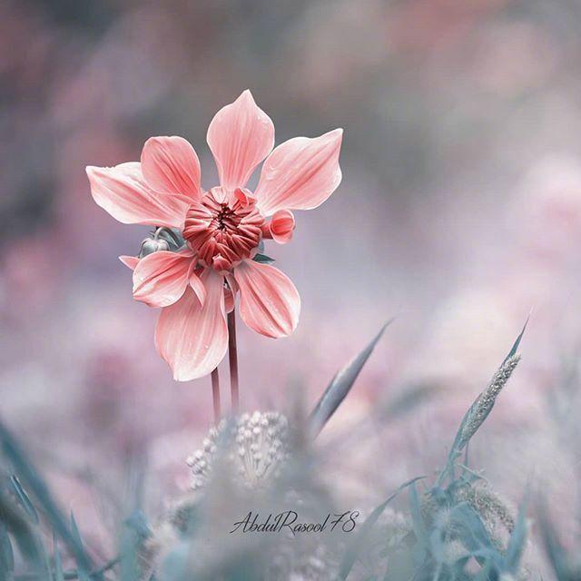 2021最精辟最火的心情句子，做签名很有格调！