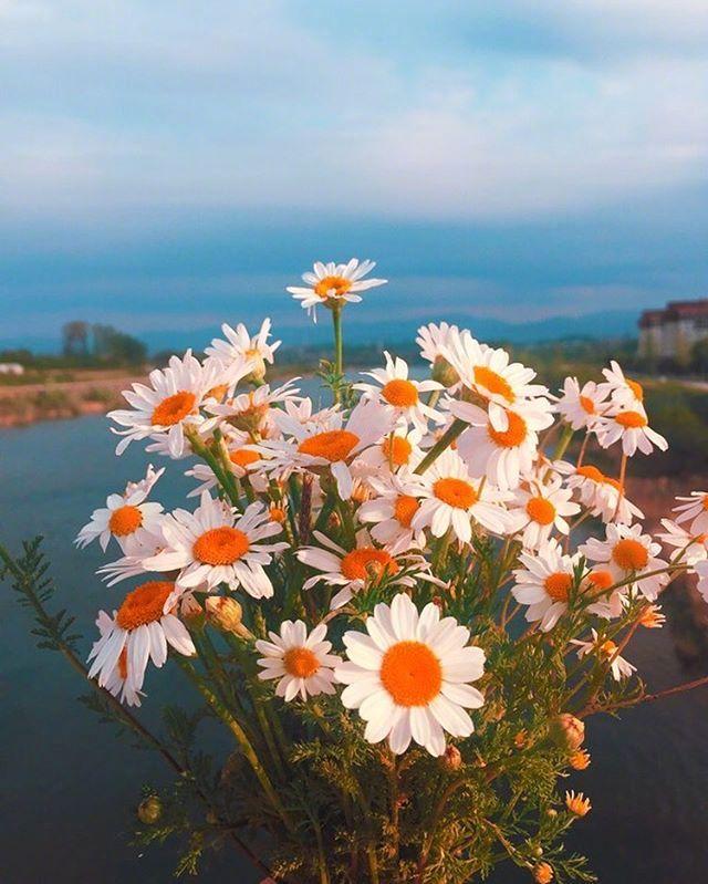 看清人和事的精辟说说，句句经典，大彻大悟！