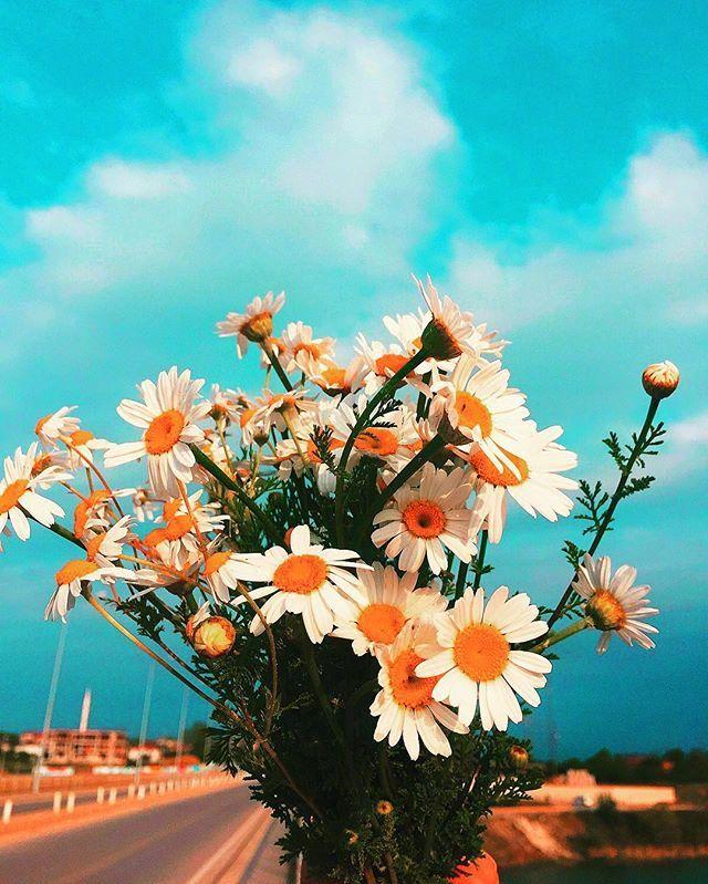 看清人和事的精辟说说，句句经典，大彻大悟！