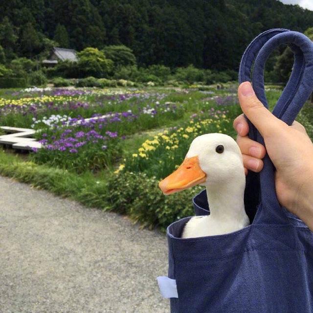 朋友圈最睿智的27句话，心浮气躁时多看看！