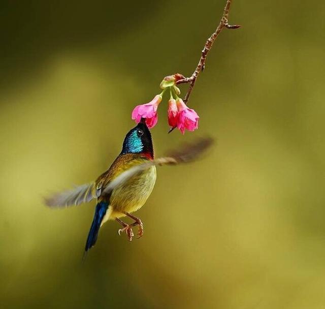 有智慧的人生说说，精辟有深意，值得细读！