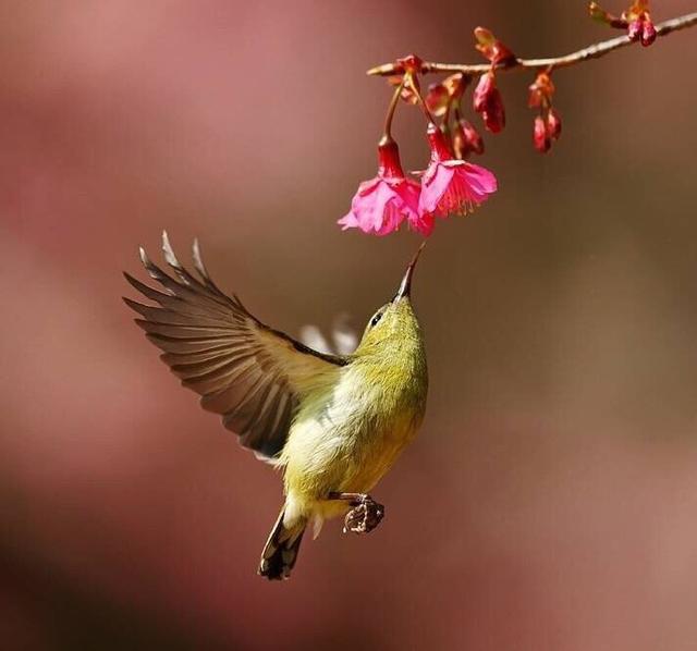 有智慧的人生说说，精辟有深意，值得细读！