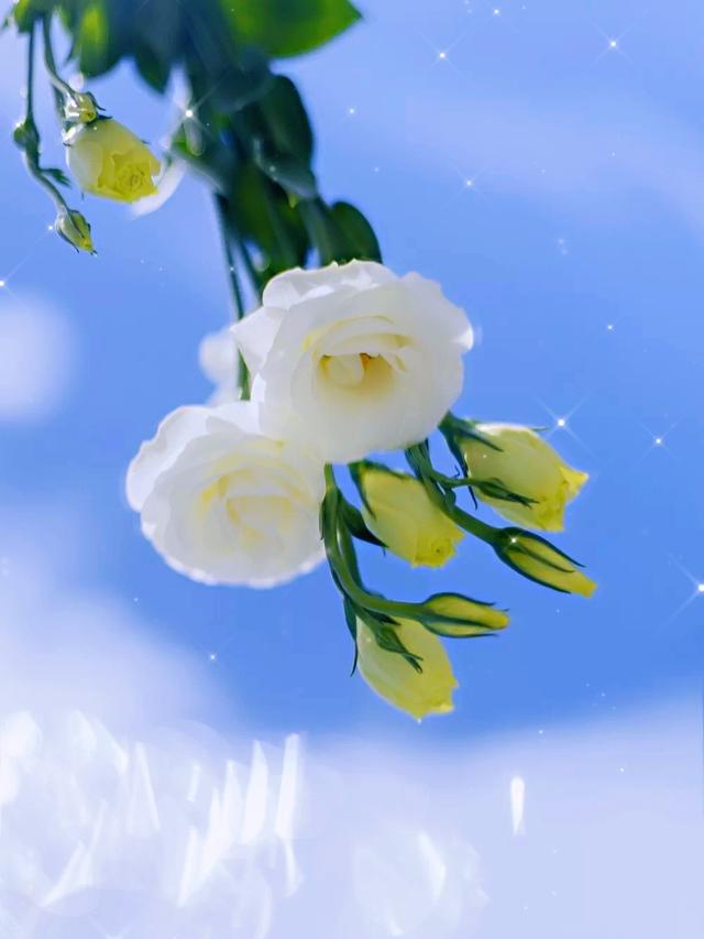 直抵心灵的爱情箴言，值得你一读再读！