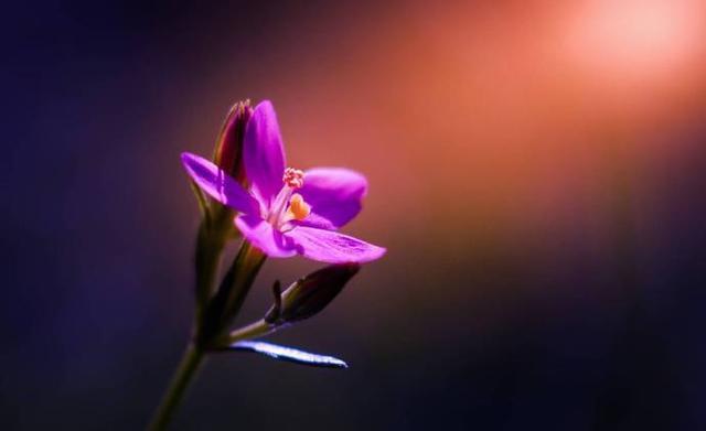 朋友圈很潮很流行的晚安句子，句句经典入心！