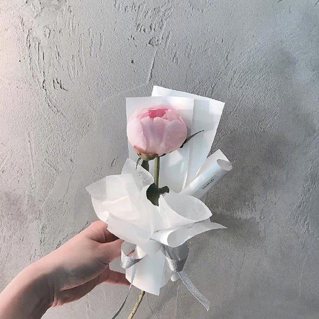 干净小清新的晚安心语，经典唯美，人见人爱！