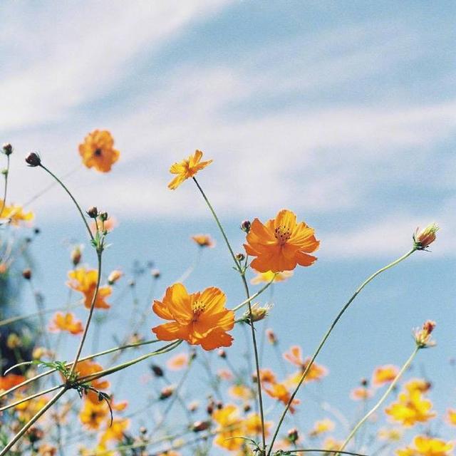 激人奋进的句子，经典励志，越读越优秀！