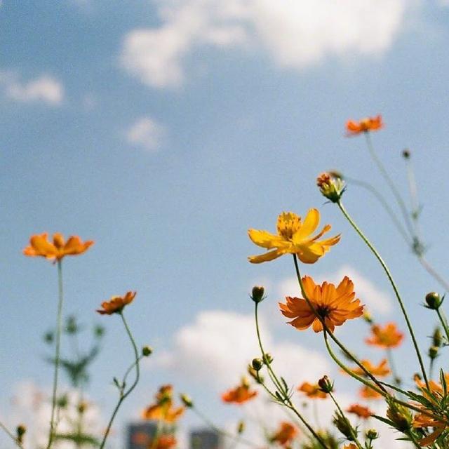 激人奋进的句子，经典励志，越读越优秀！