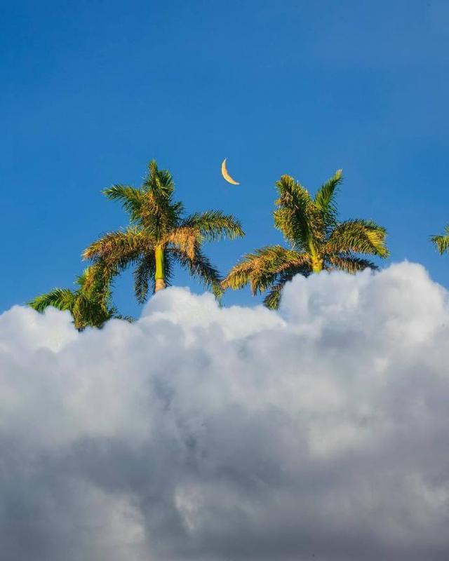 2021很现实的人生感悟说说，内容引起极度舒适！