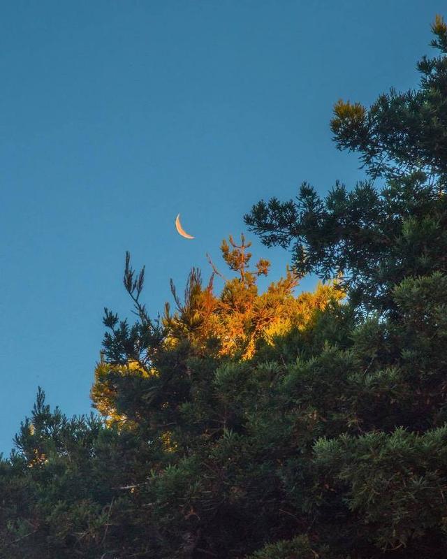 2021很现实的人生感悟说说，内容引起极度舒适！