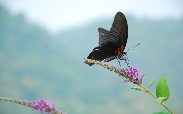 字字千金的人生金句，睿智深刻，总结的真到位！