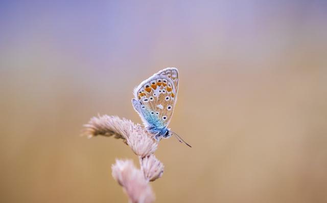 字字千金的人生金句，睿智深刻，总结的真到位！