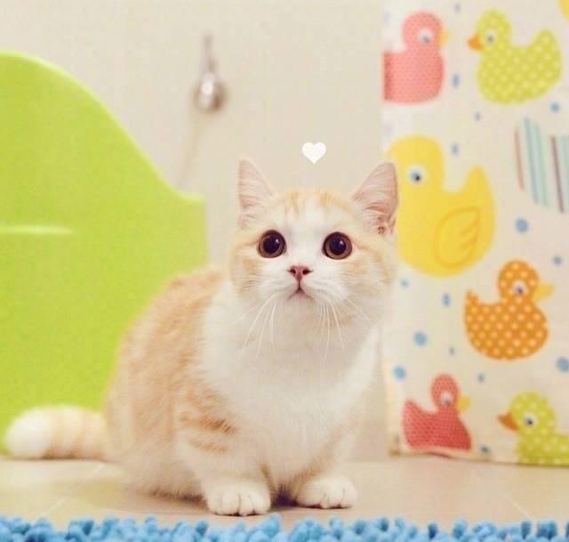 朋友圈最暖心的一句话，情商超高，魅力非凡！