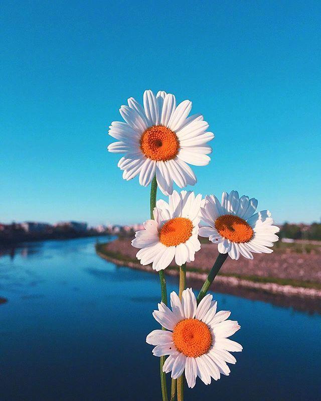 送给大学生的励志句子，句句阳光，鼓舞人心！