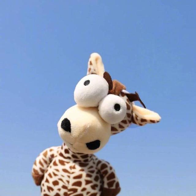 适合治愈自己的贴心文案,精致用心,一眼爱上!