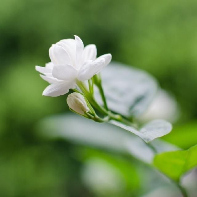 发朋友圈最适合的人生金句，不看是你的损失！