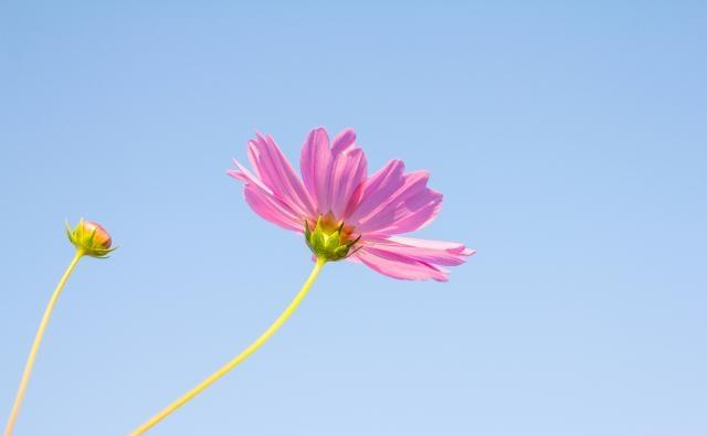 2021气质满分的早安心语，简短精致，沁人心脾！