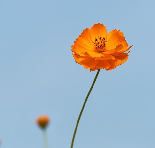 2021气质满分的早安心语，简短精致，沁人心脾！