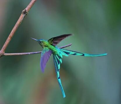 26句很走心的鸡汤语录，越读越有道理！